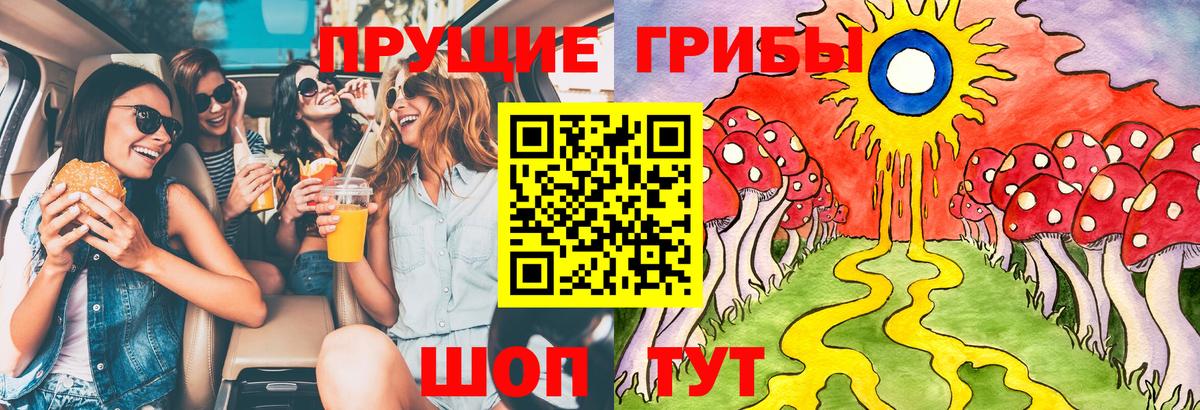Лесной  Галлюциногенные грибы Psilocybine cubensis  Вход с VPN 